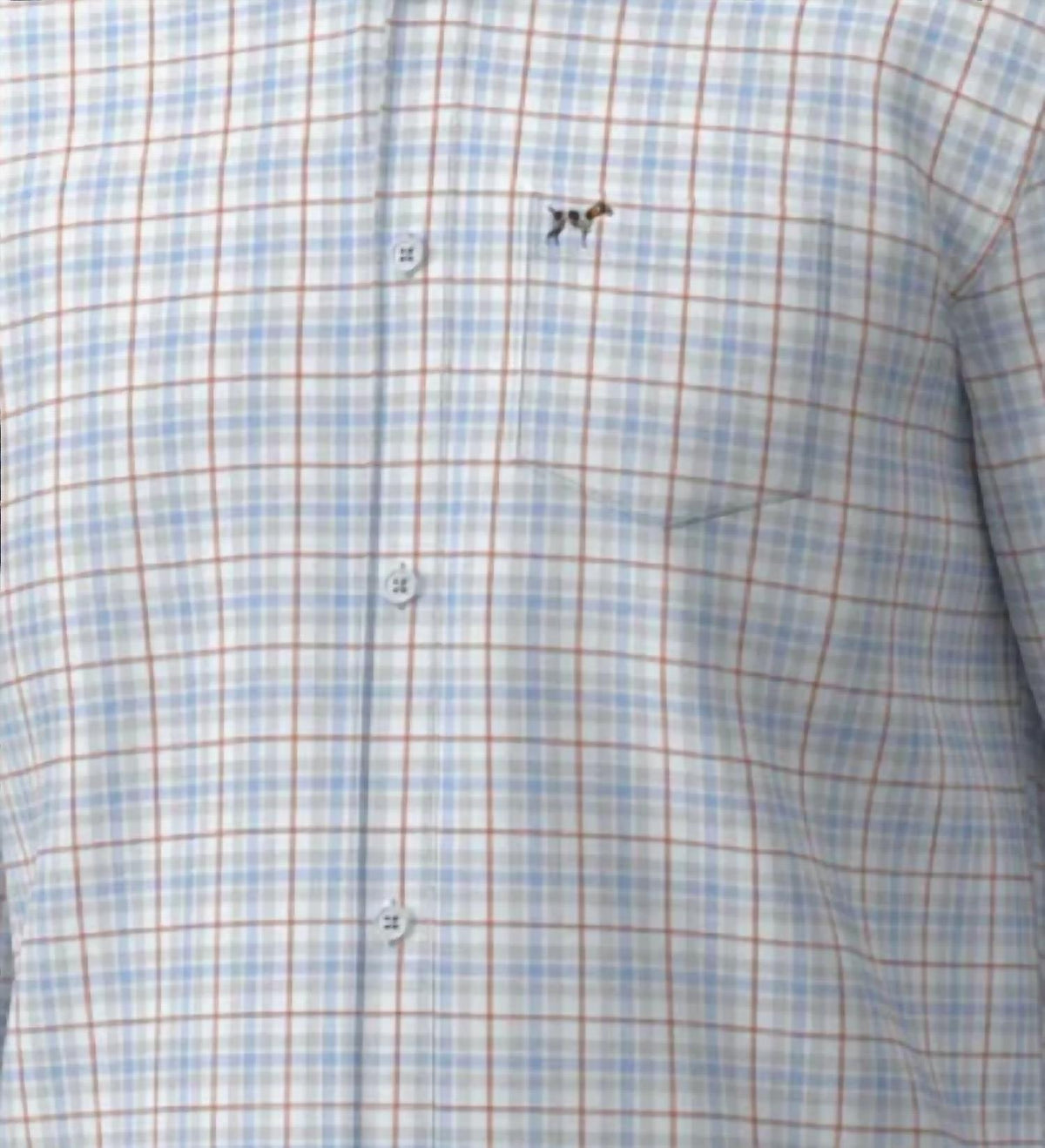 Boy's Hadley Luxe Button Down Shirt