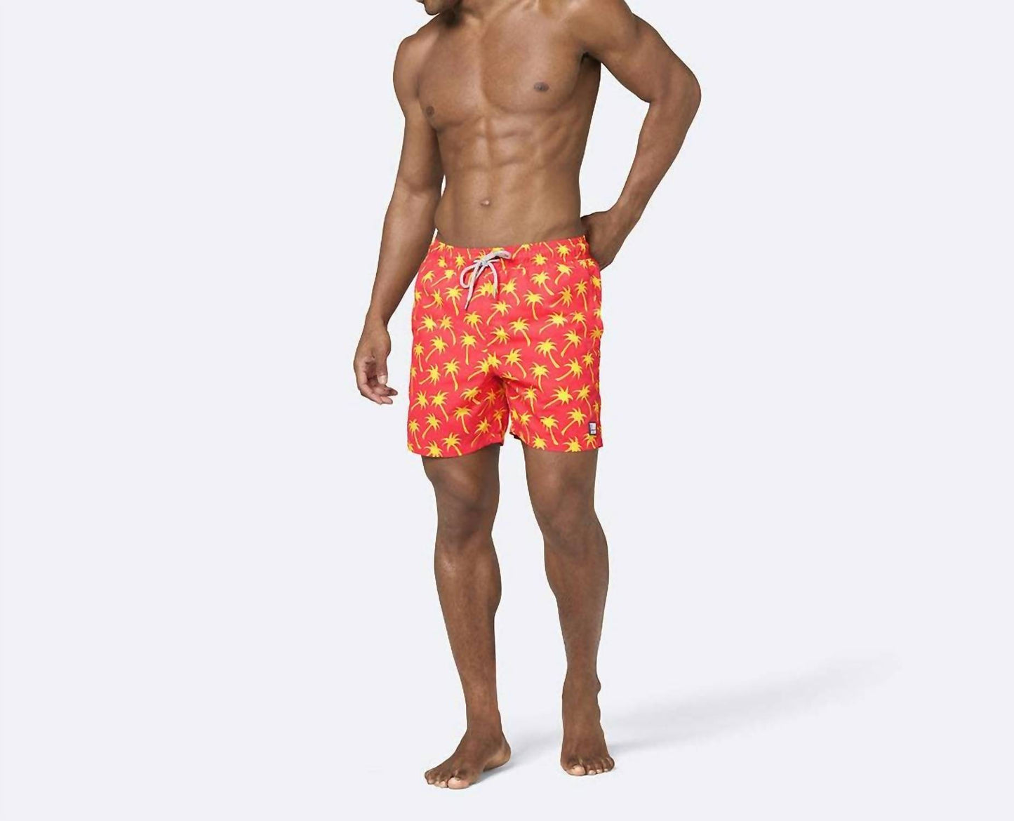 Men's Palm Swim Shorts