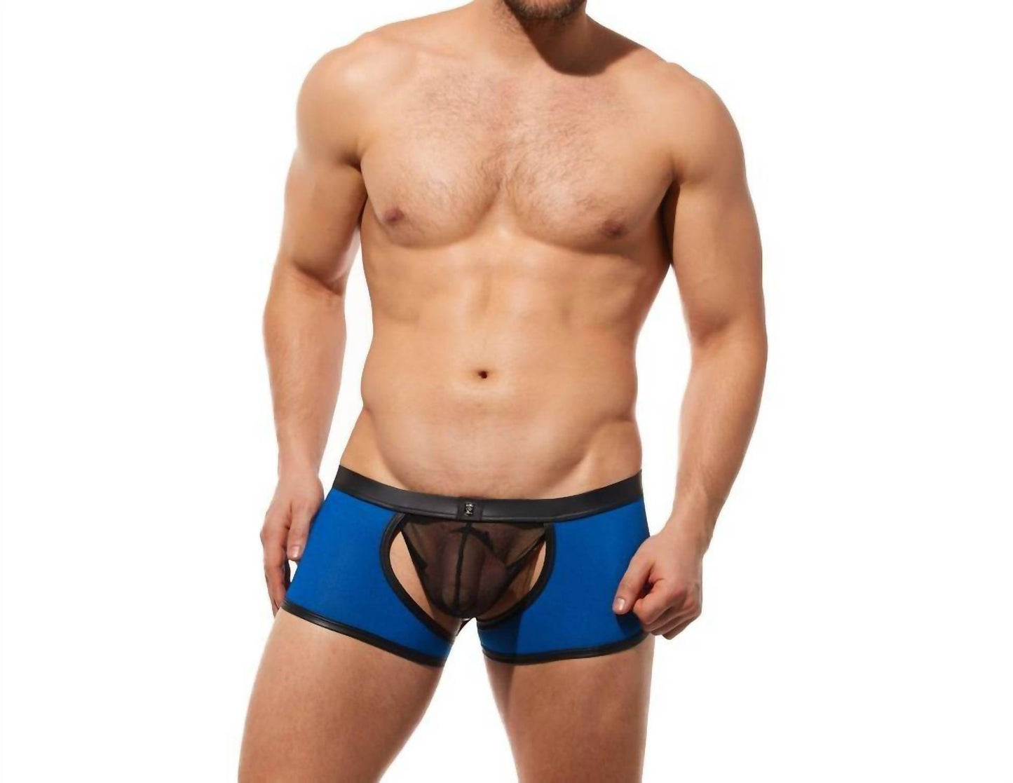 Gregg Homme - Men's Ring My Bell Boxer Brief - Rack Hunt