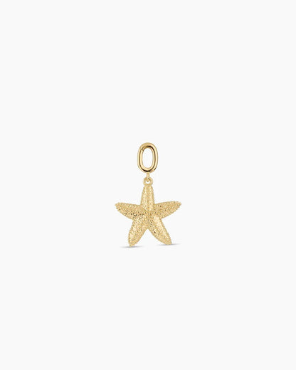 Women's Starfish Statement Parker Charm