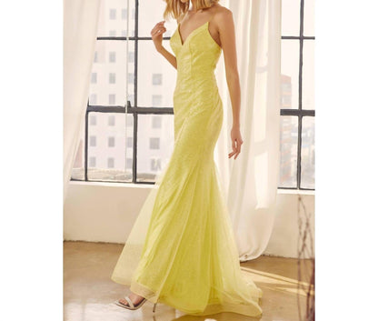 Glitter Mesh Fitted Evening Prom Gown