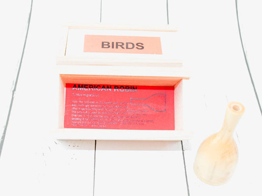 American Robin Bird Calls