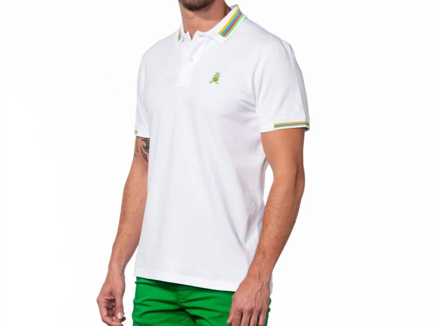 Anthony Frog Polo