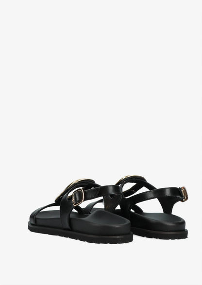 Women's V31 Sandal