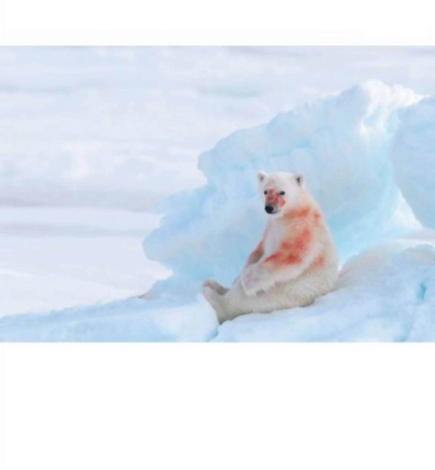 ACC Publishing - Mother Books - Rack Hunt -