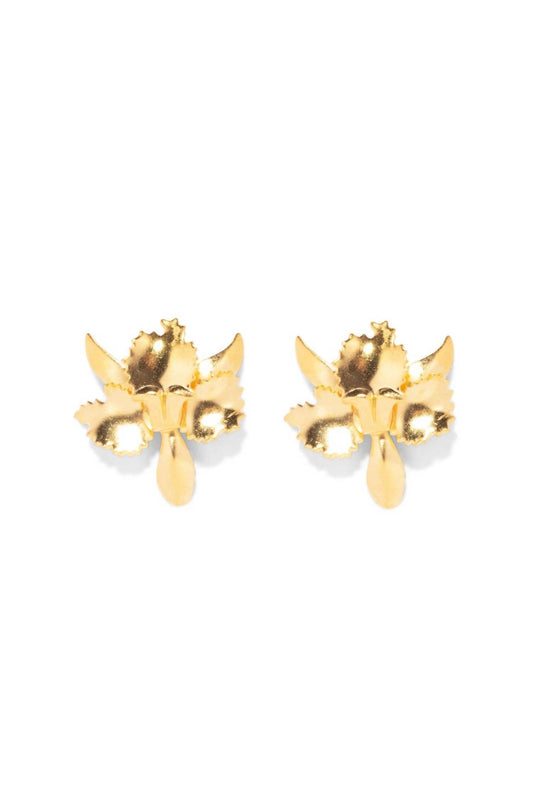 Women's Tiny Golden Orchid Earrings