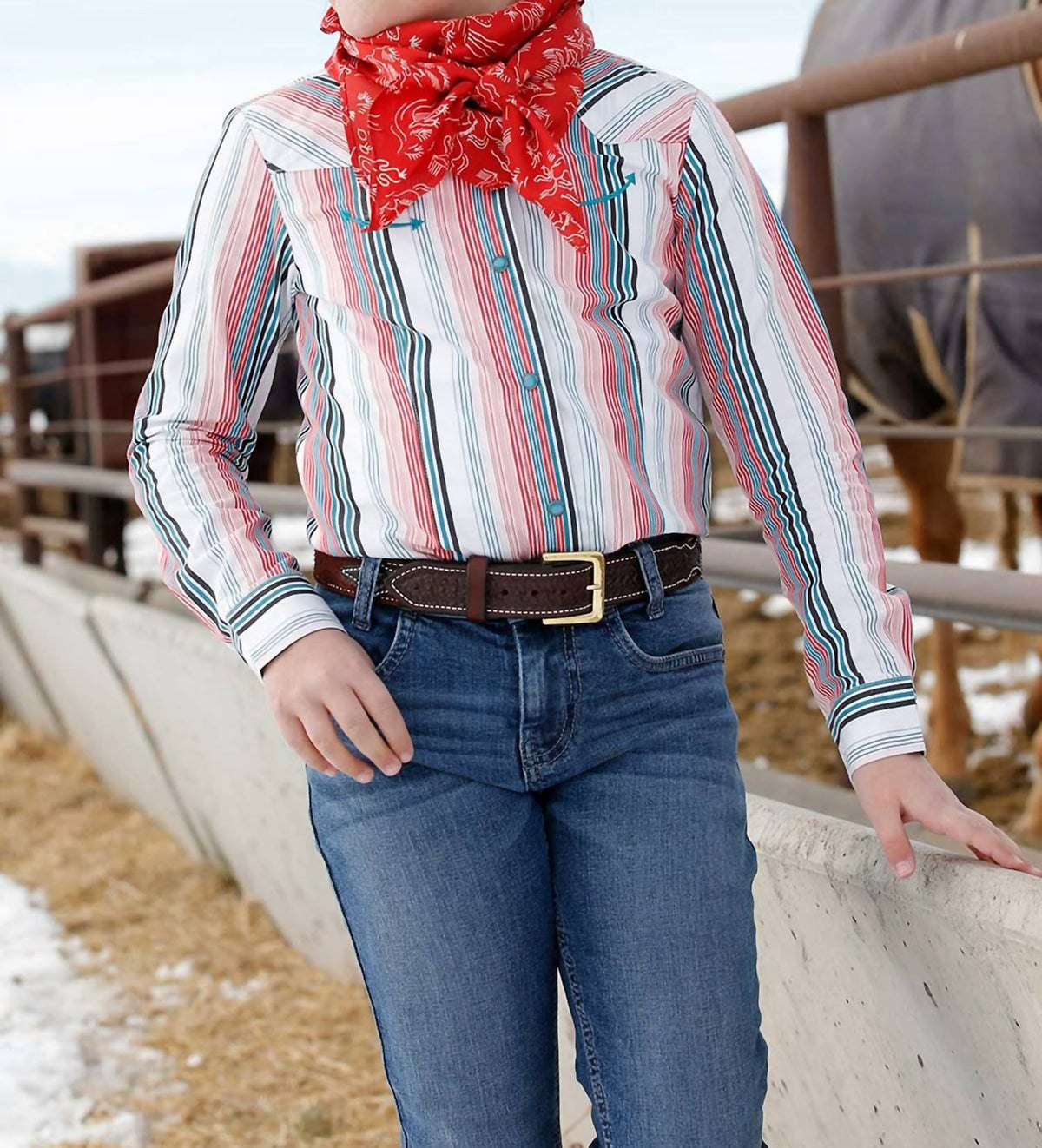 Stripe Long Sleeve Snap Shirt
