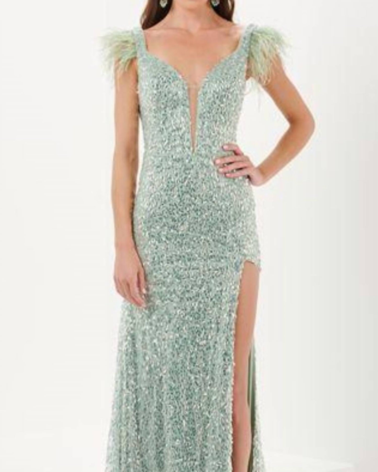 All Over Sequin Feather Trim Gown