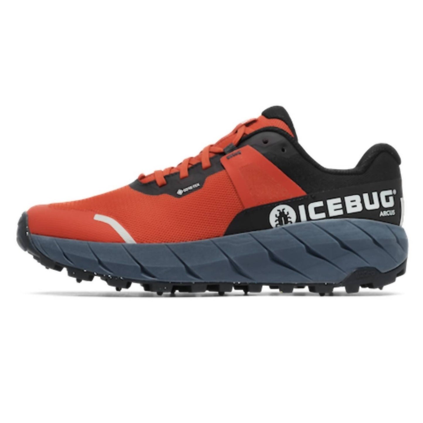 Men's Arcus Bugrip Gtx Shoes