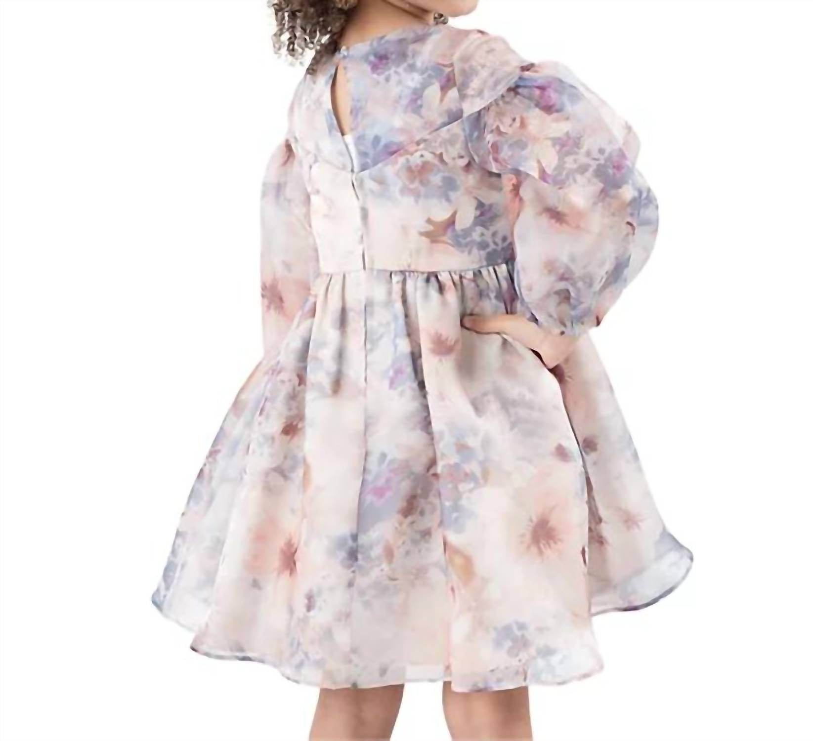 Rare Editions - Toddler & Little Girls Balloon Sleeve Floral Organza Dress - Rack Hunt -