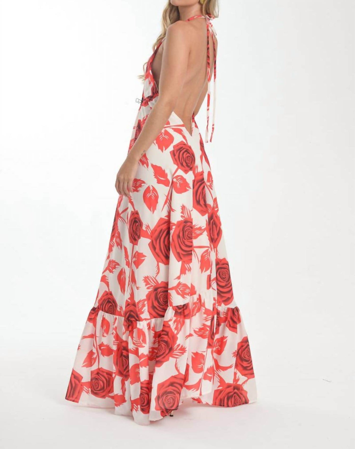 Steffany Milano - Romantic Rose Print Dress - Rack Hunt