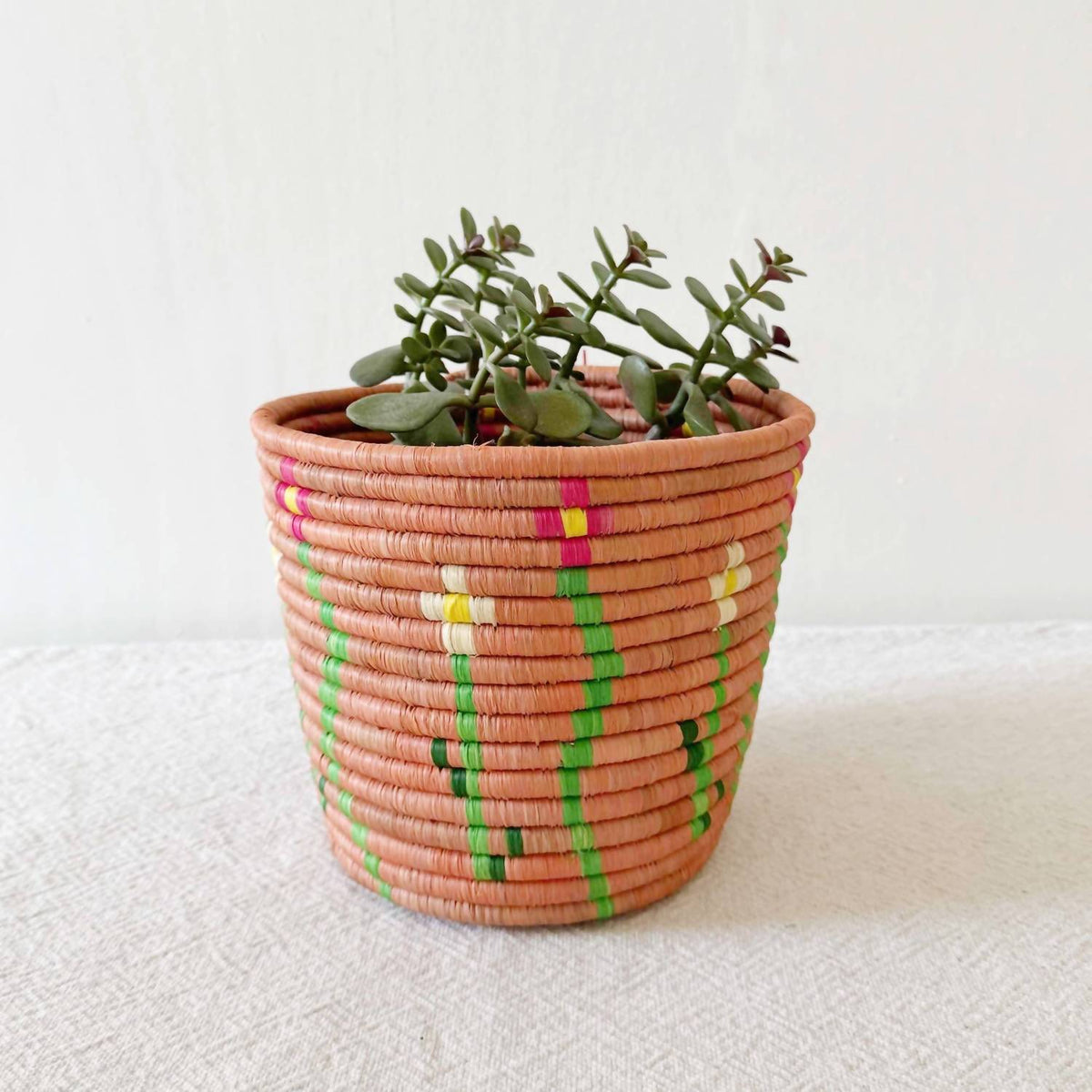 Floral Storage Plant Basket