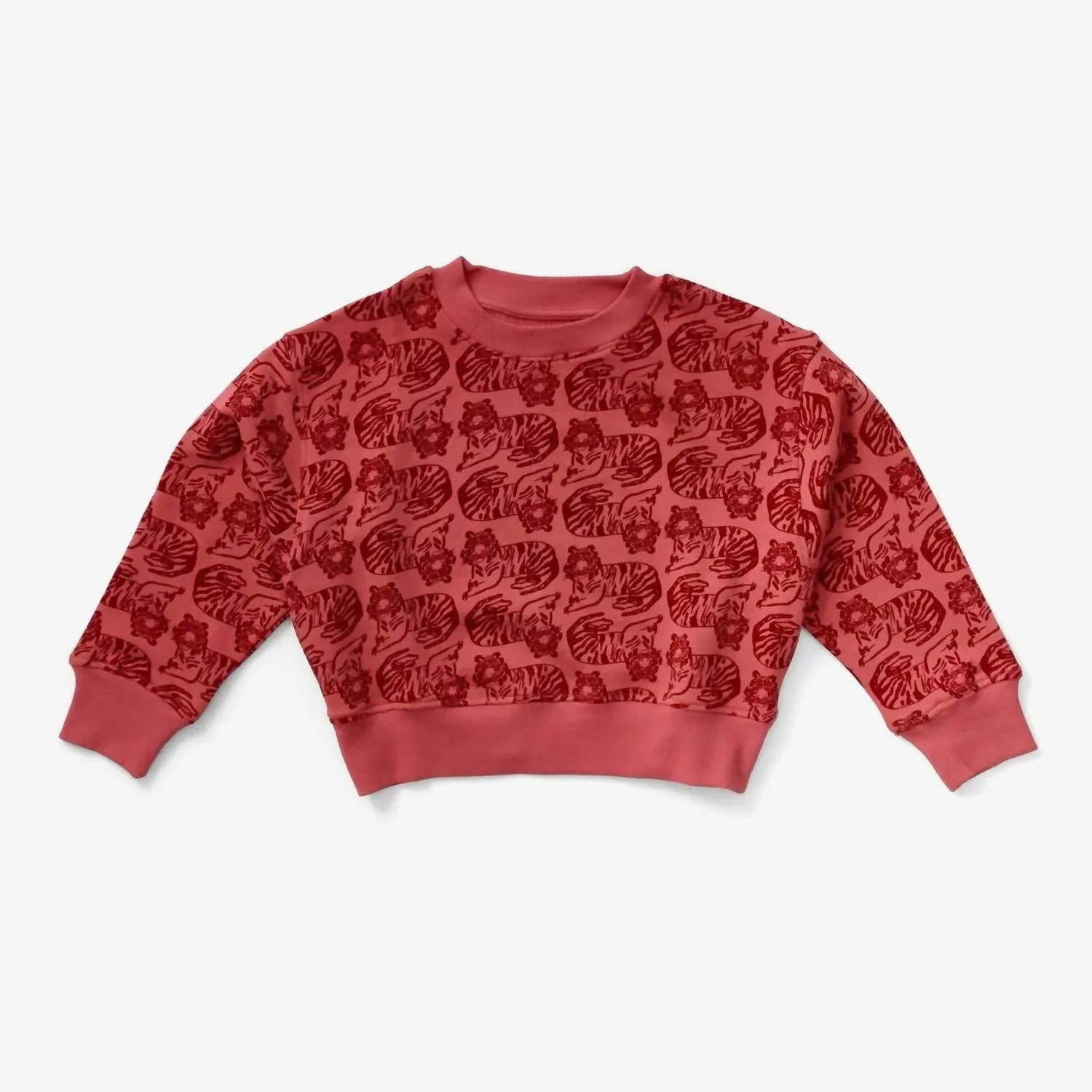 Lewis - Boy's Print Organic Cotton Sweatshirt - Rack Hunt
