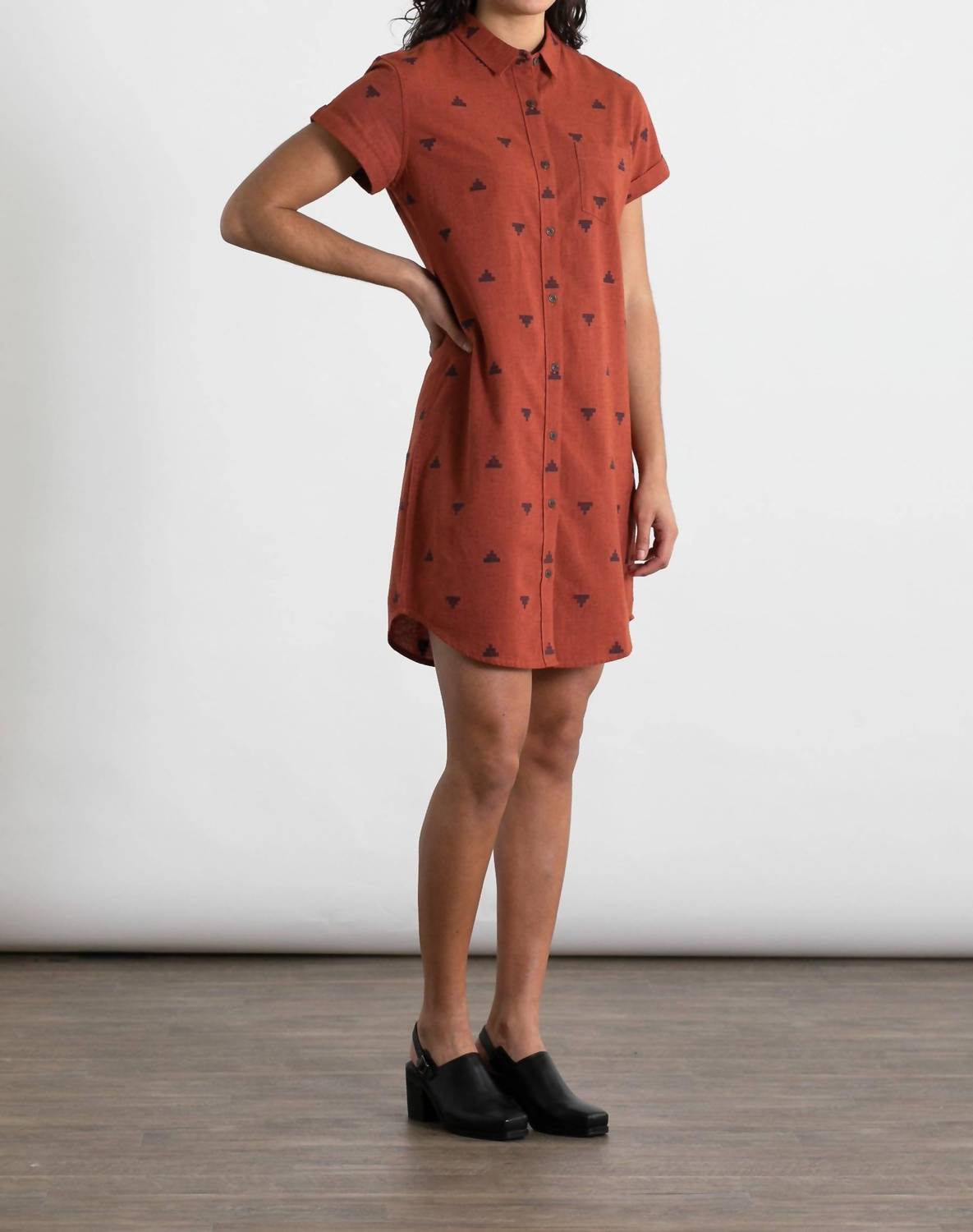 Loren Shirt Dress