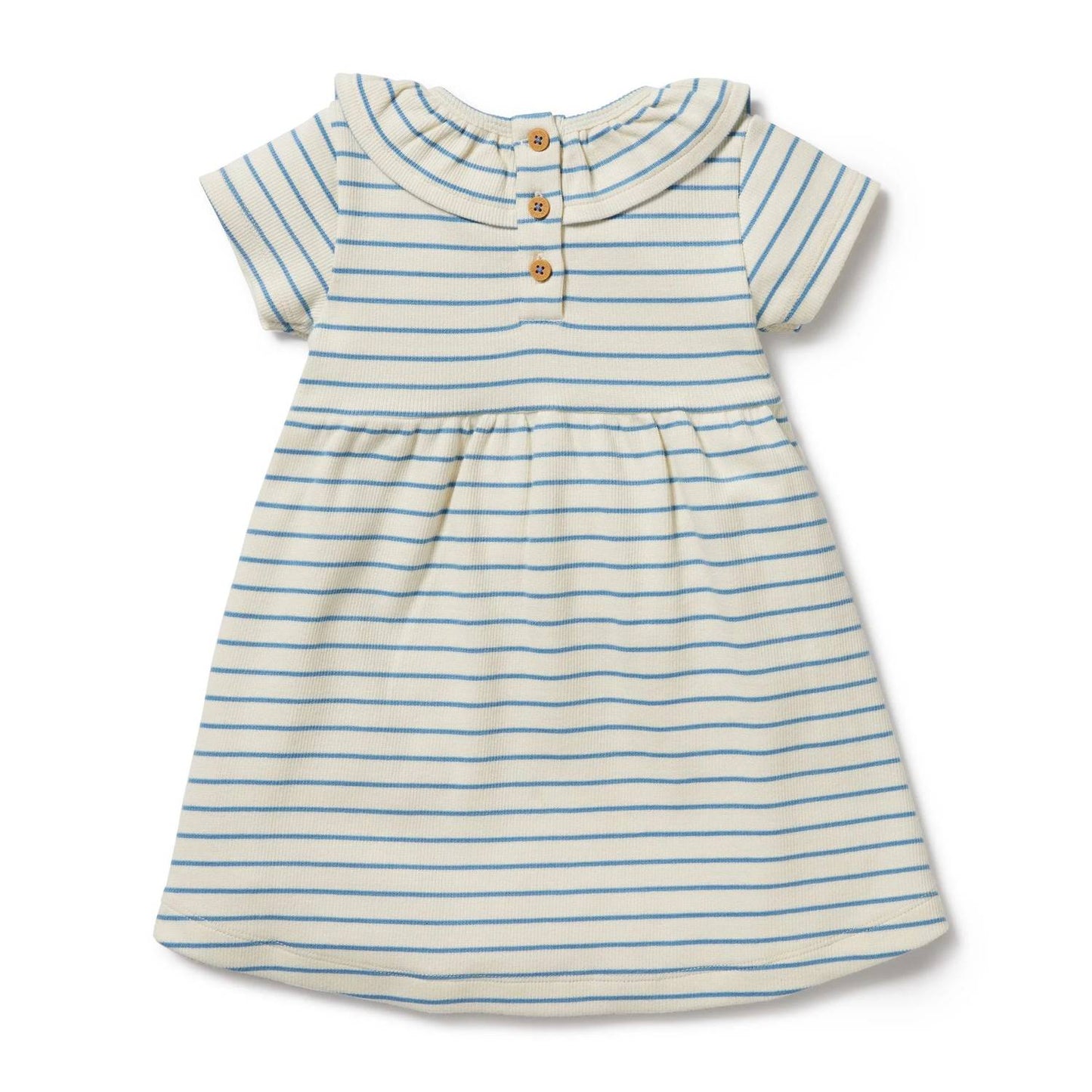 Petite Ruffle Dress