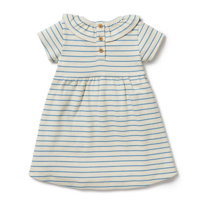 Petite Ruffle Dress