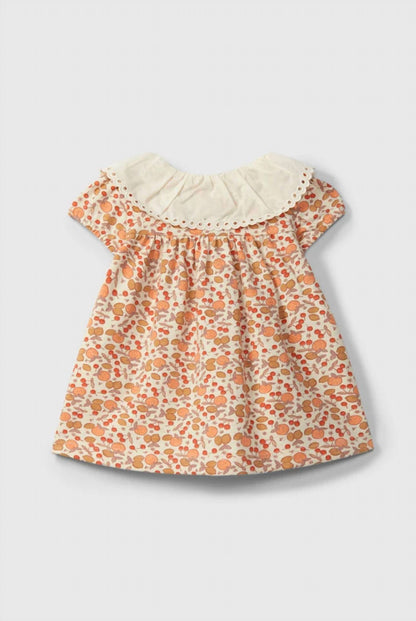 Girls Citrus Print Collar Dress