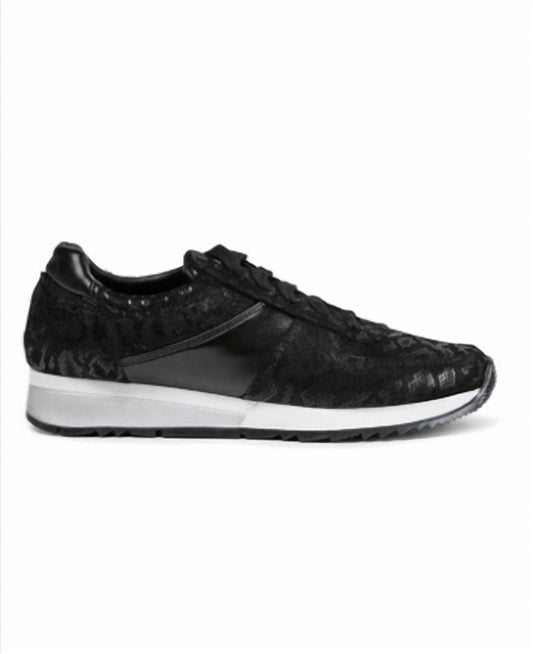 Women's Holly Fashion Sneakers