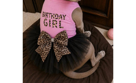 Birthday Girl Dog Tutu Set