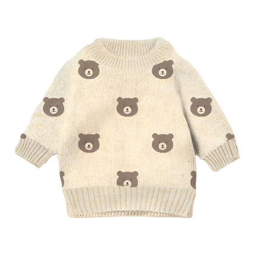 Boy's Beary Cute Knit Sweater