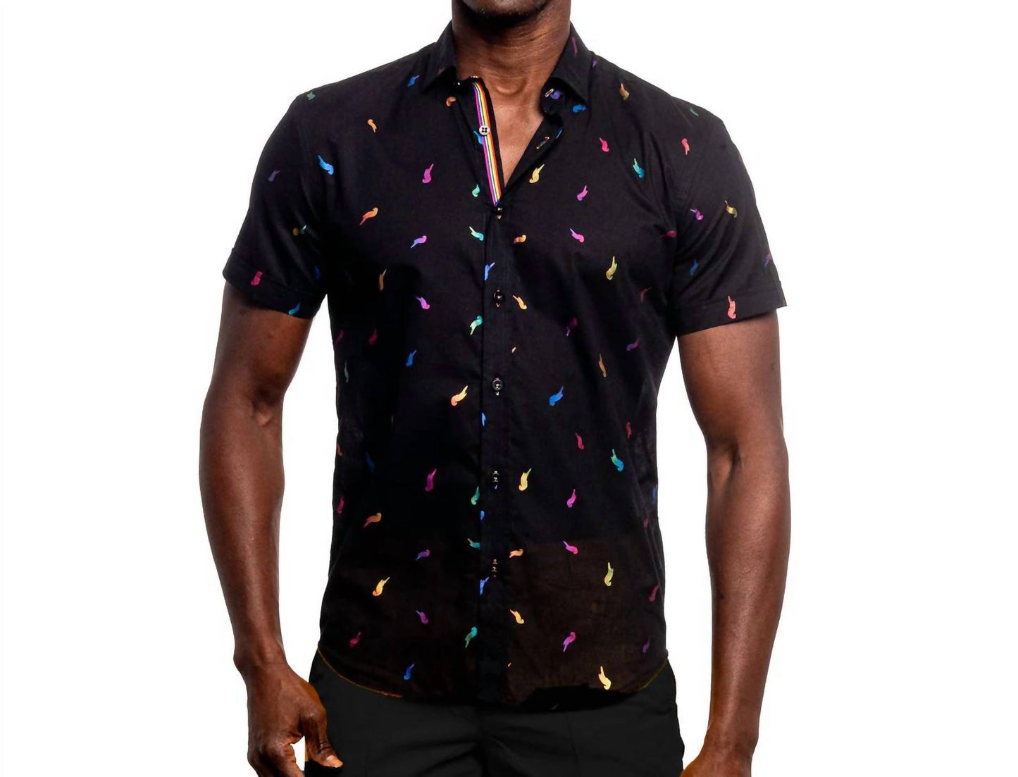 Parrot Punch Foil Short Sleeve Shirt