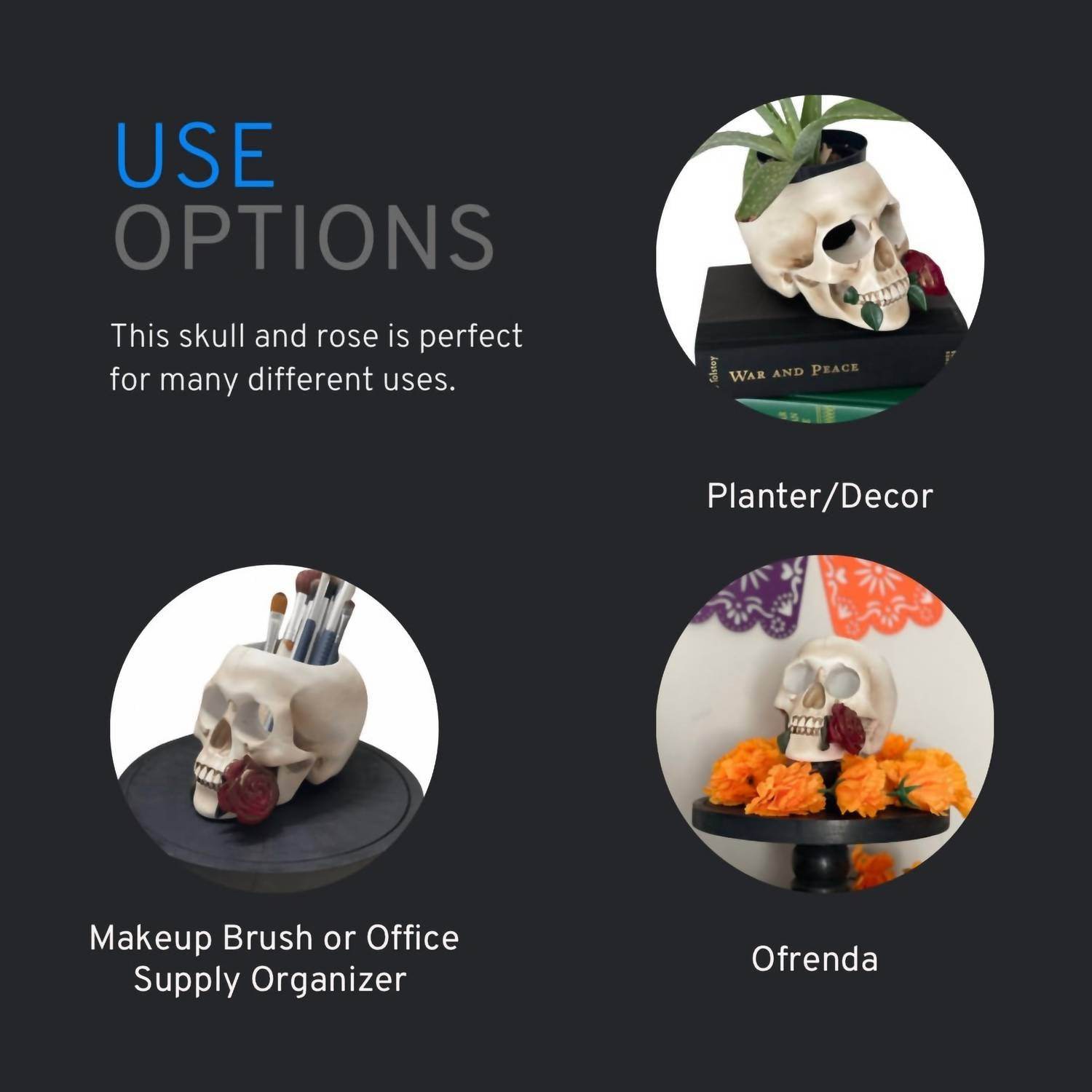 Tennessee & Co. - Resin Skull with Rose Organizer/Planter - Rack Hunt -