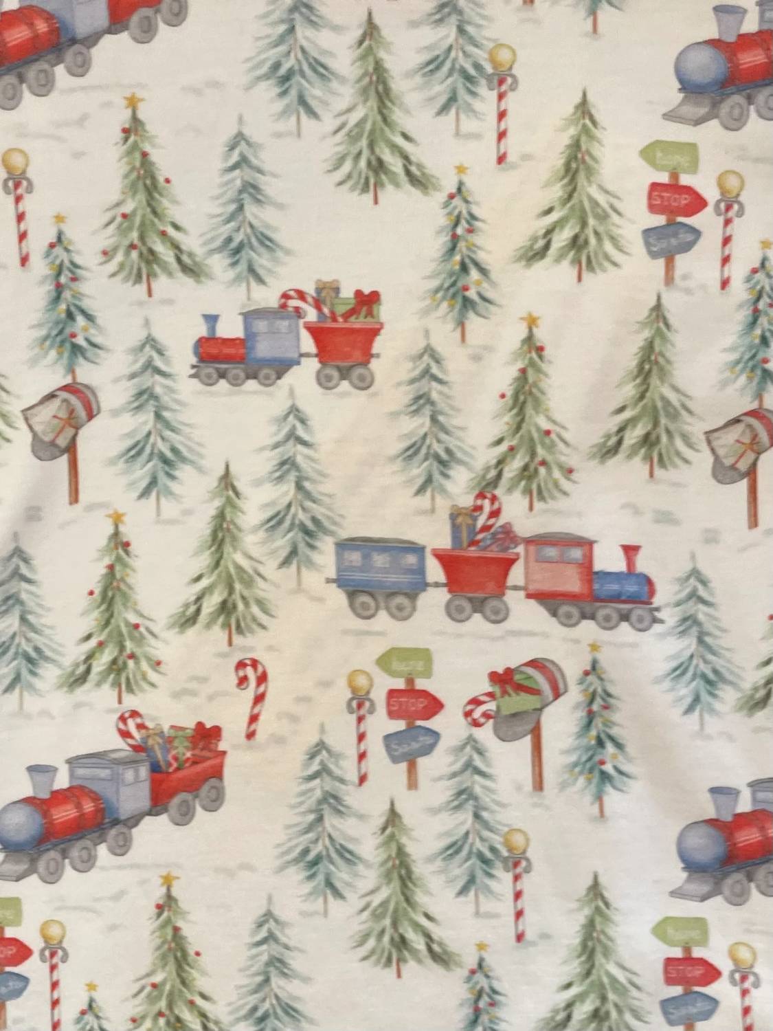 Kid's Polar Express Printed Pajama Set