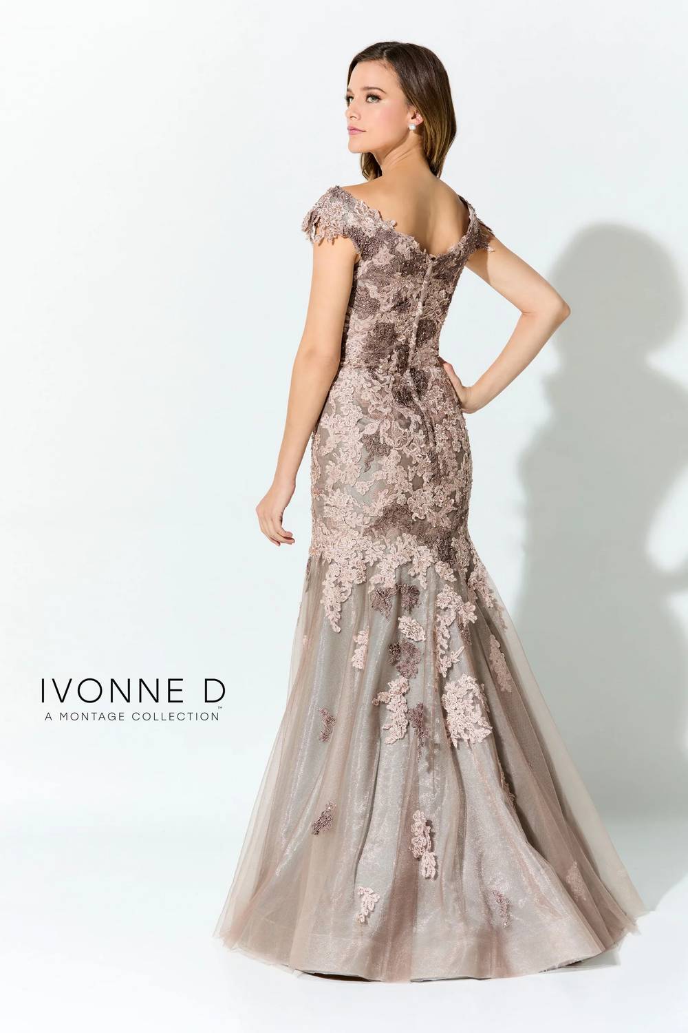 Lace Embroidered Dress