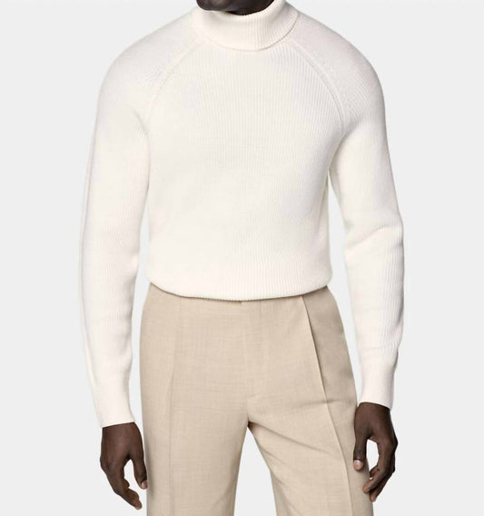 Ribbed Merino Wool Turtleneck Sweater - Plus