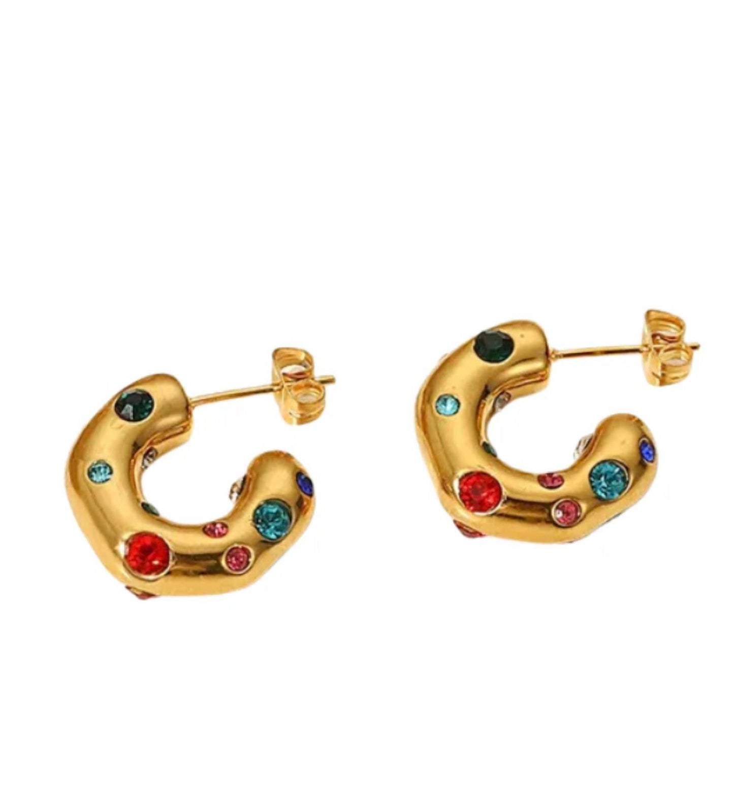 Women's Living In Color Earrings