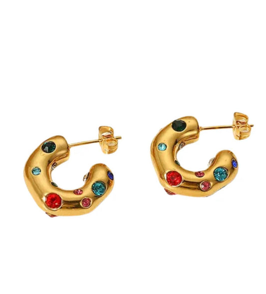 Women's Living In Color Earrings