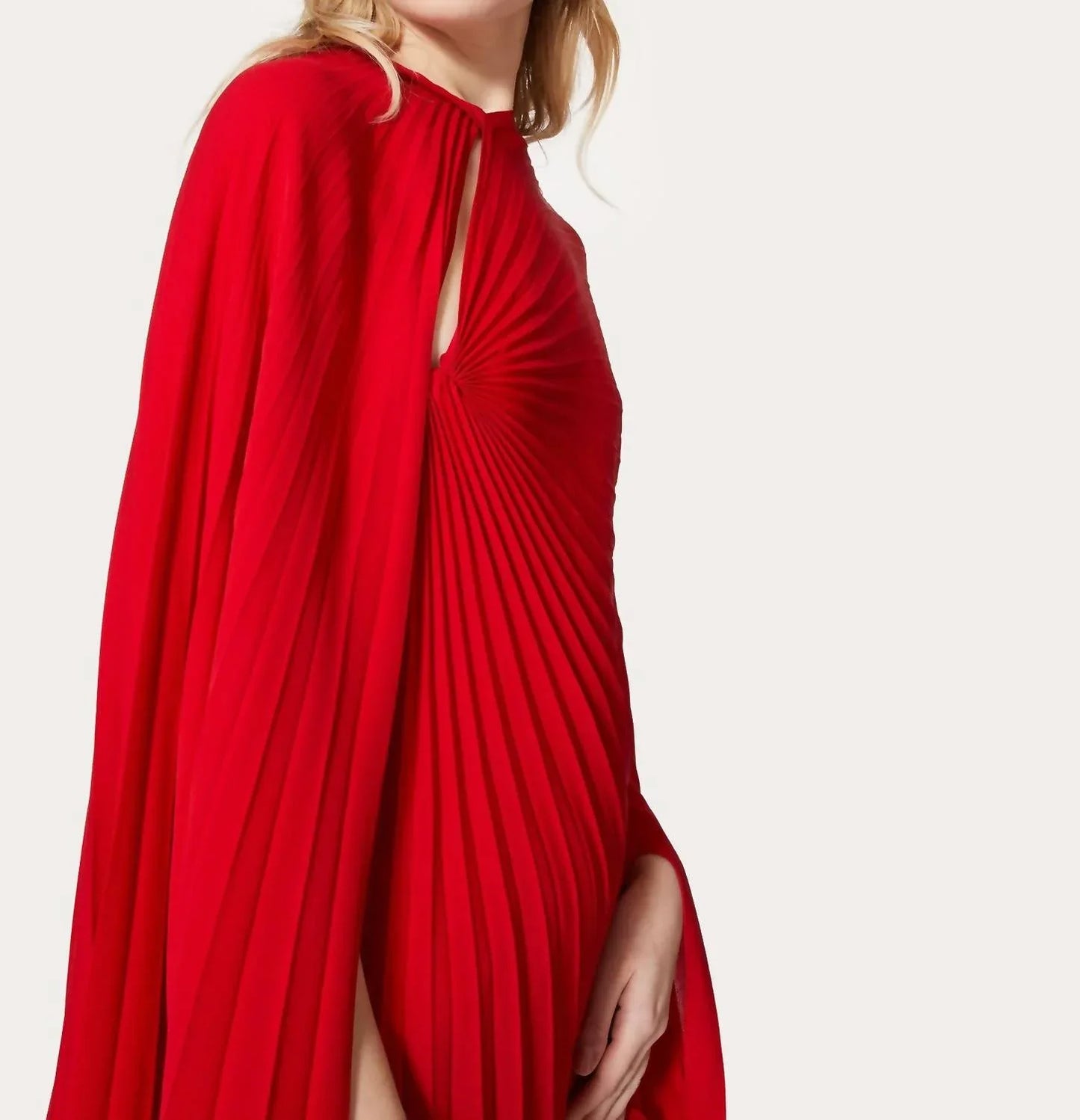 Valentino - Two Layer Pleated Dress - detail view - Rack Hunt