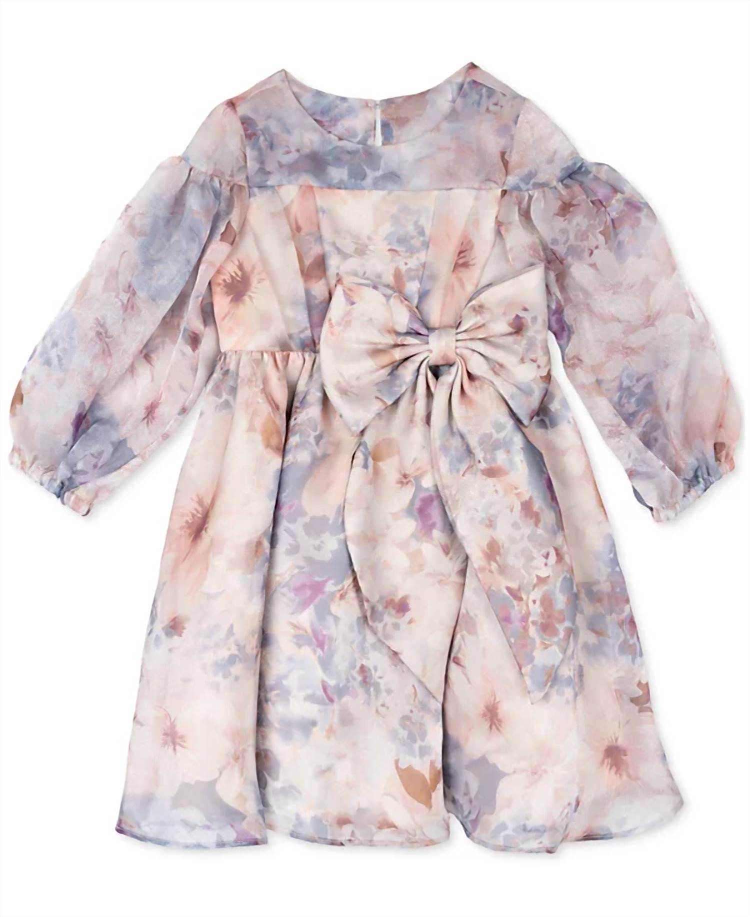 Rare Editions - Toddler & Little Girls Balloon Sleeve Floral Organza Dress - Rack Hunt -