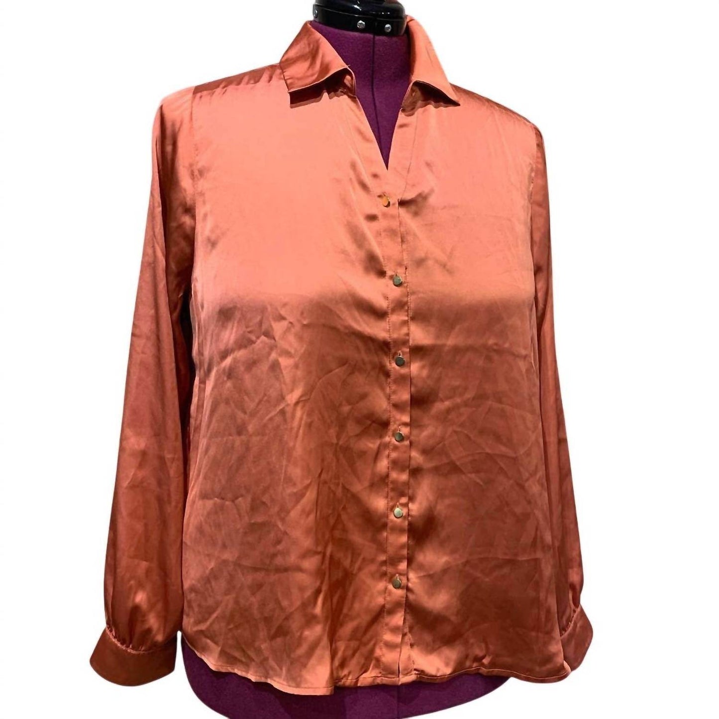 belldini - Ginger Spice Button Down Long Sleeve Back Pleated Blouse - Rack Hunt -