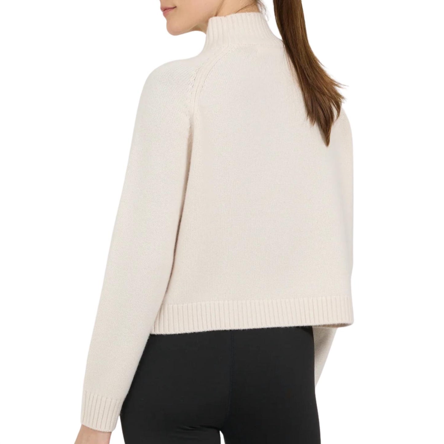 Ski Goggle Mockneck Sweater