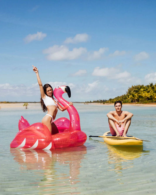 Flamingo Pool Float