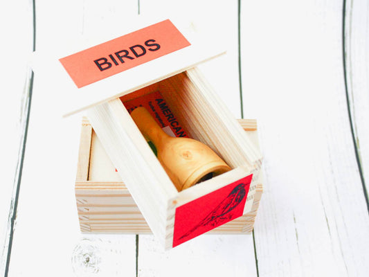 American Robin Bird Calls