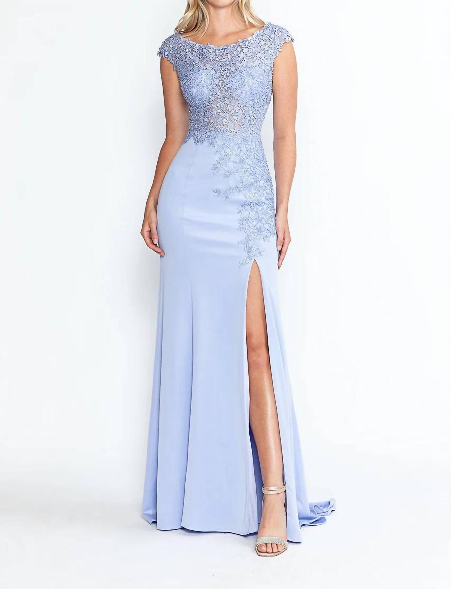 Boat Neck Cap Sleeve Sheath Gown