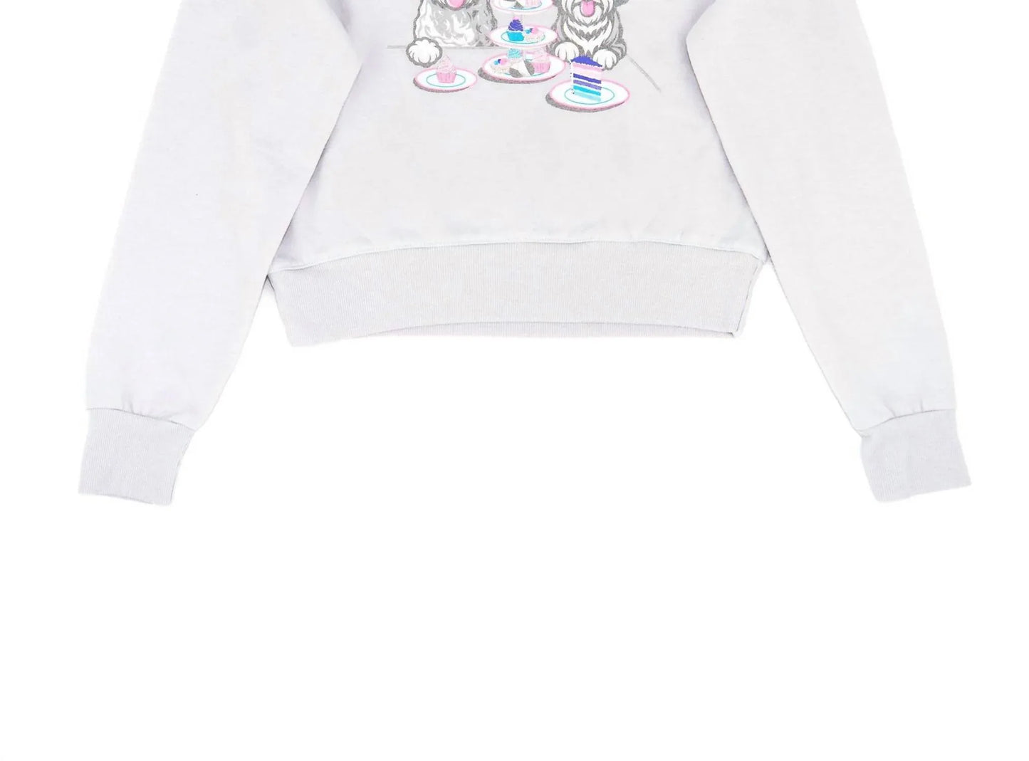 Firehouse - Girls Pup Party Sweatshirt - Rack Hunt