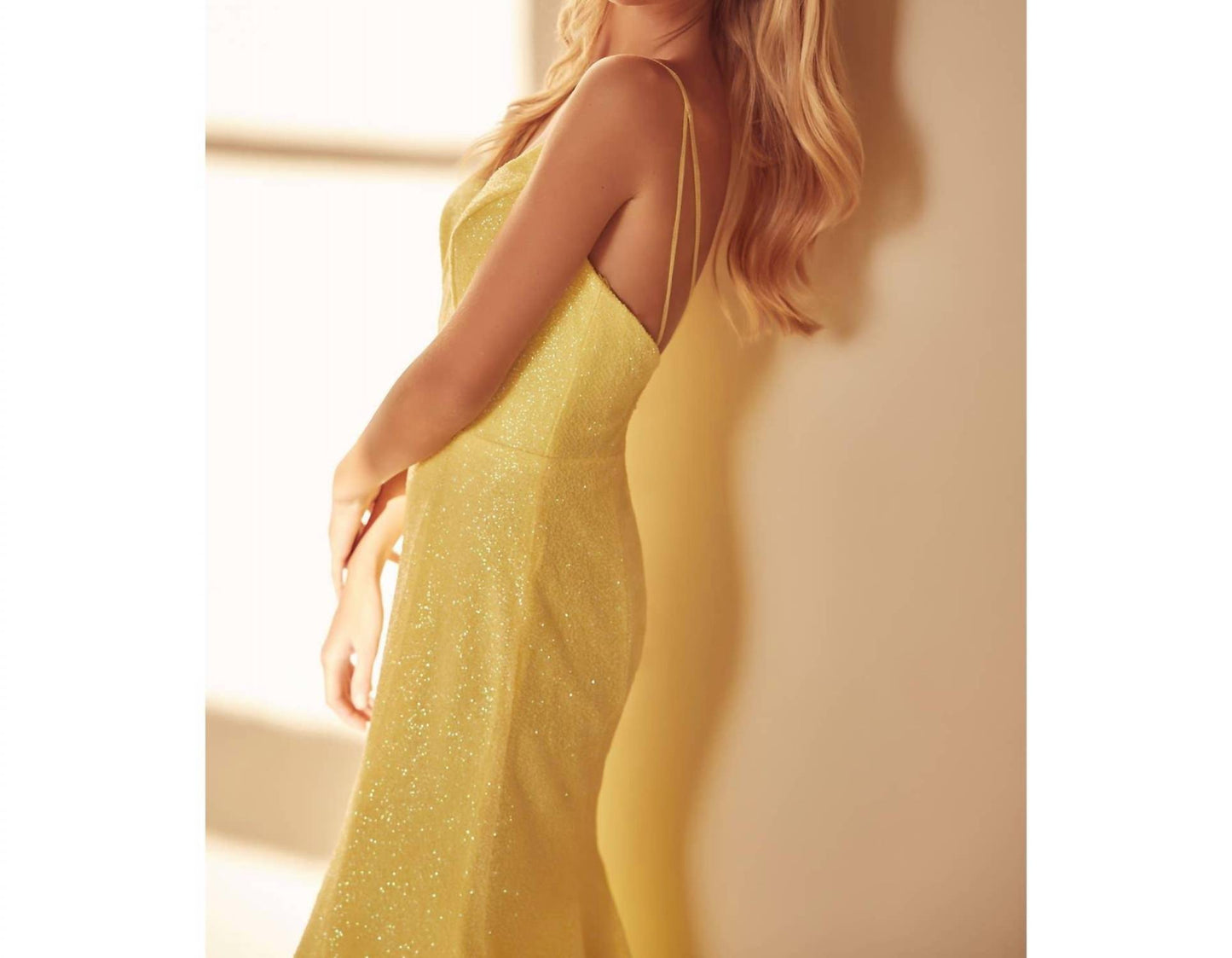 Glitter Mesh Fitted Evening Prom Gown
