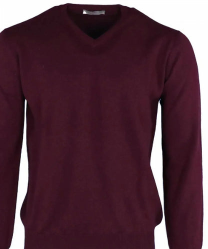 Pashmere - Men's Pure Cashmere V-neck Top - Rack Hunt