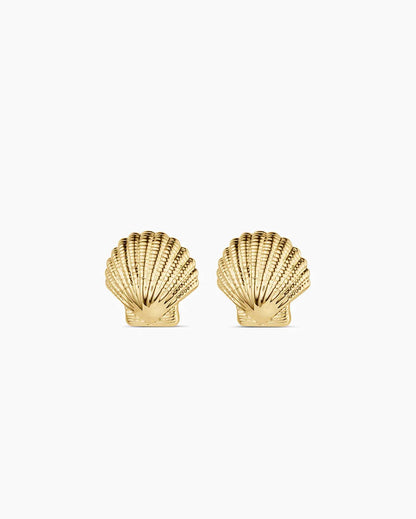 Women's Shell Statement Studs
