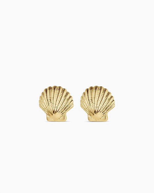 Women's Shell Statement Studs