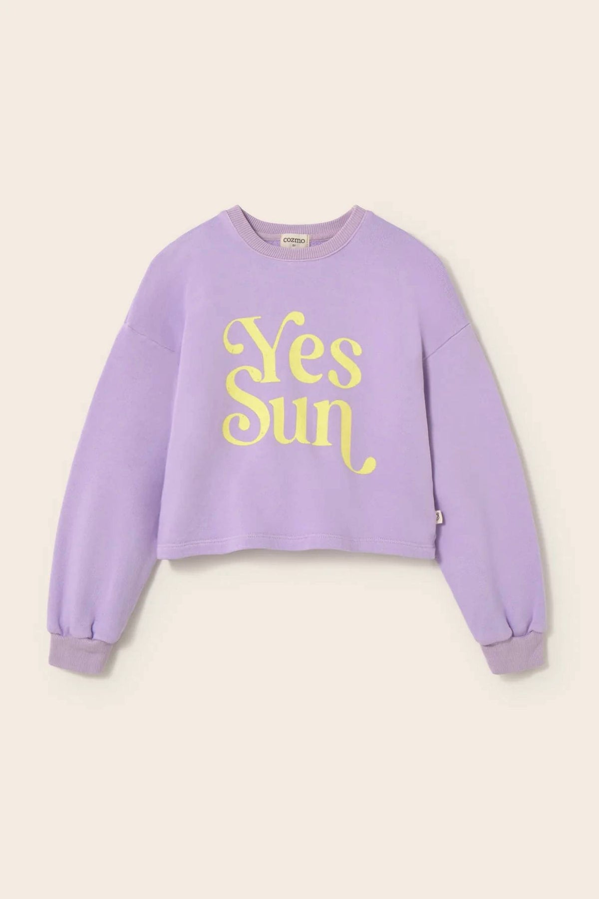 Girls Cotton Fleece Print Puffed Sweatshirt