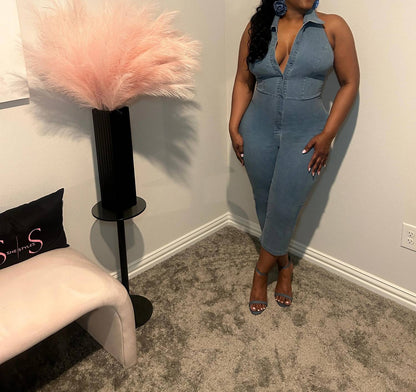 Denim Daze Jumpsuit