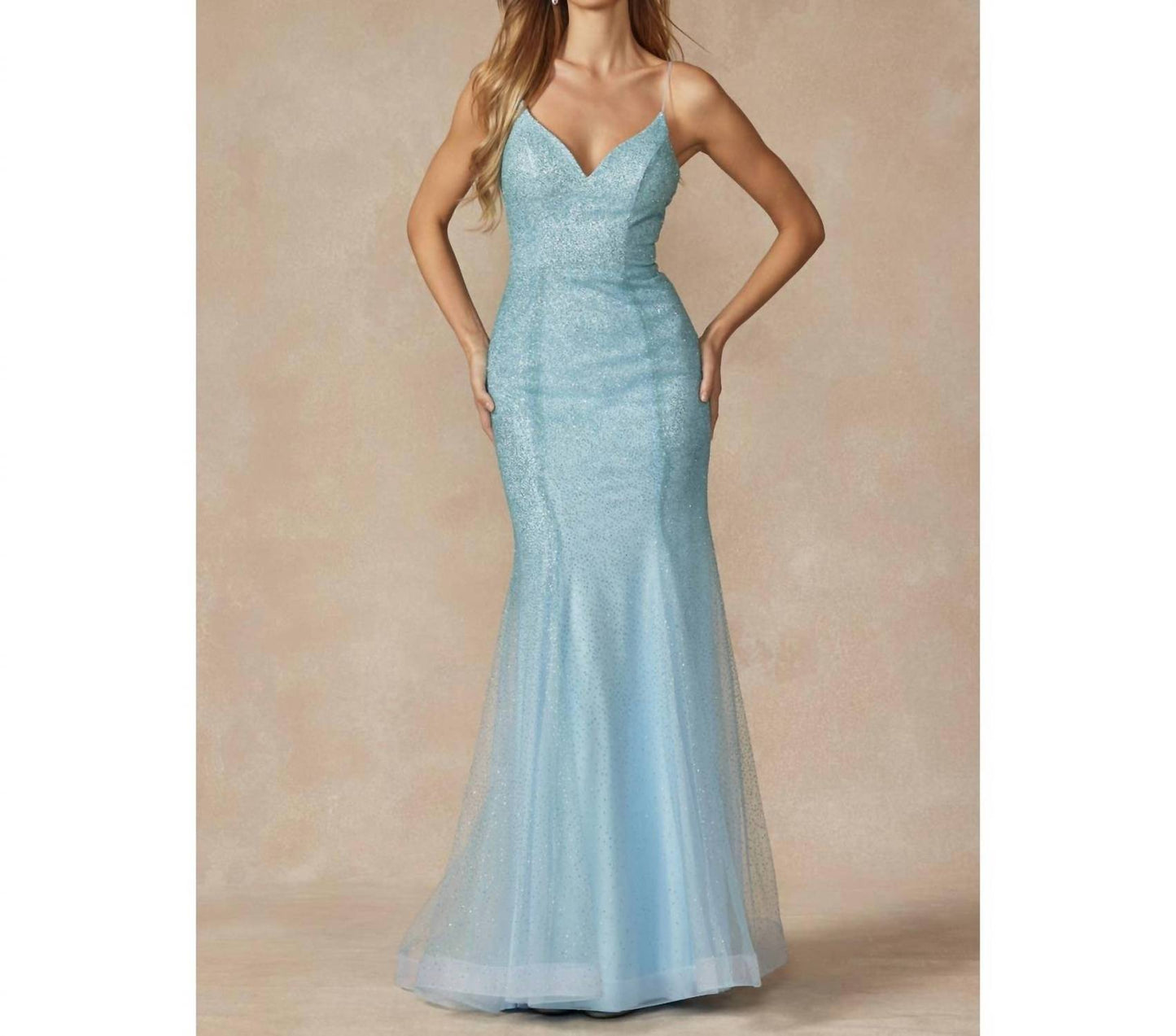 Glitter Mesh Fitted Evening Prom Gown