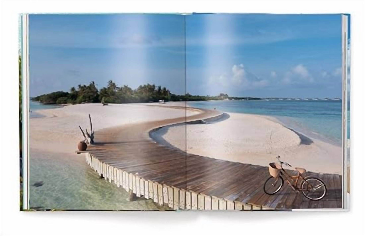 ACC Publishing - This Must Be Paradise Book - Rack Hunt -