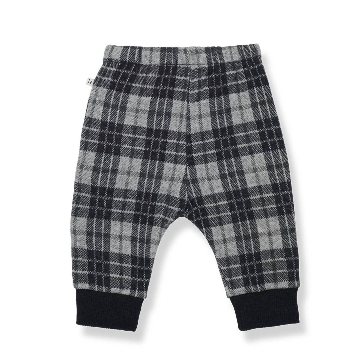One More In the Family - Boy Albert Pant - Rack Hunt
