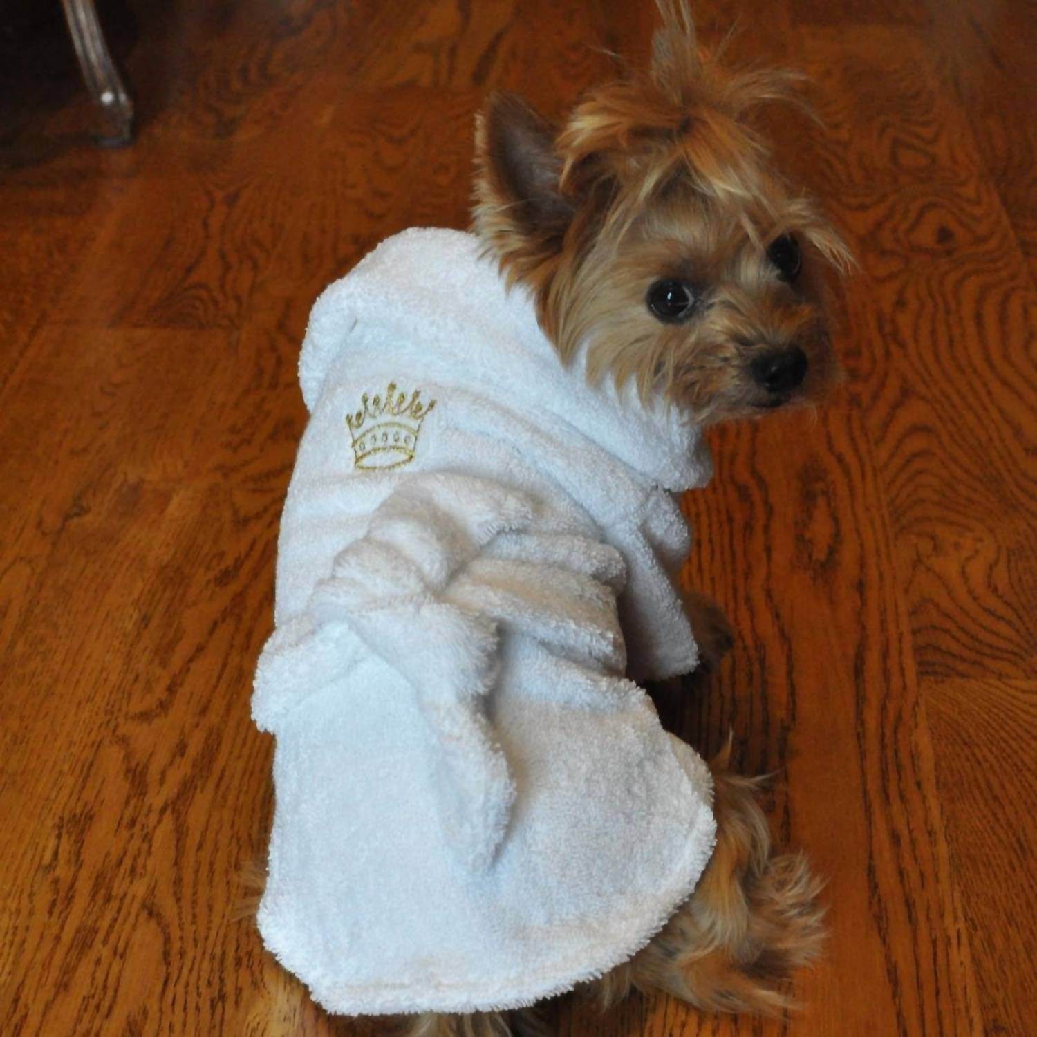 Doggie Design - Bathrobe Gold Crown - Rack Hunt -