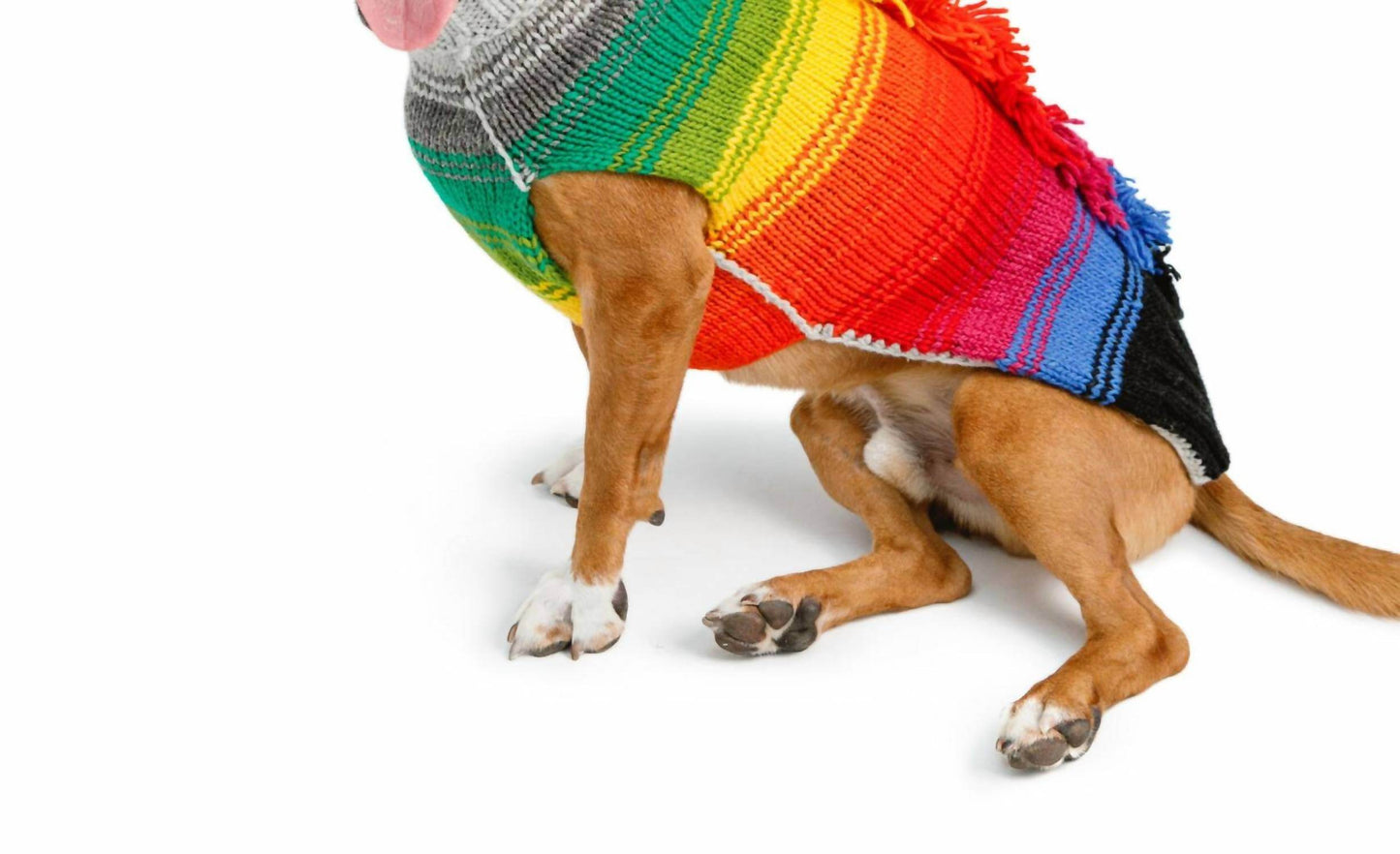 Chilly Dogs - Rainbow Mohawk Dog Sweater - Rack Hunt
